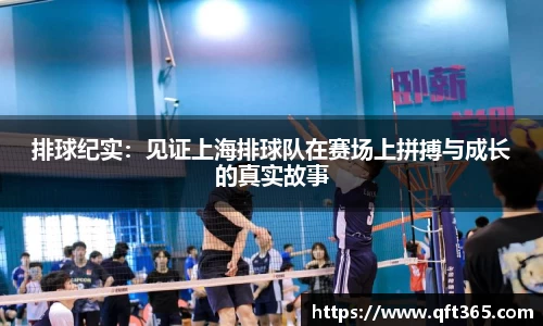 排球纪实：见证上海排球队在赛场上拼搏与成长的真实故事
