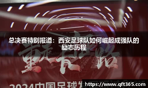 bsports登录入口