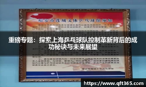 bsports登录入口
