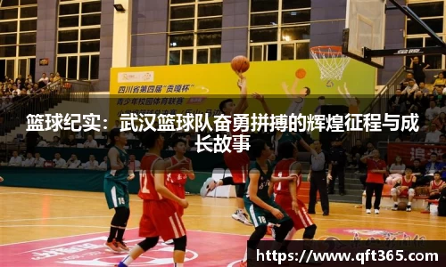 bsports登录入口