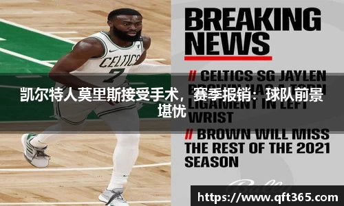 bsports登录入口