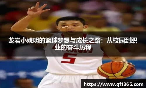 bsports登录入口