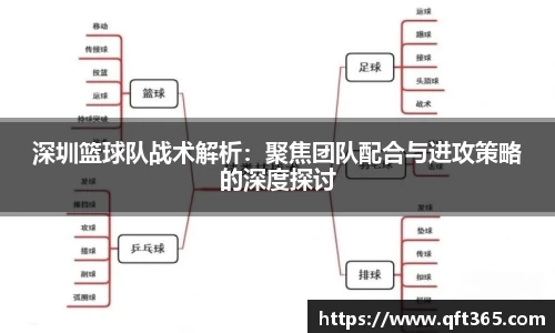 bsports官网入口