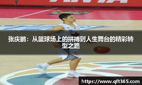bsports登录入口