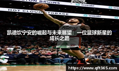 bsports登录入口