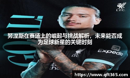 bsports登录入口