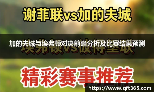 加的夫城与埃弗顿对决前瞻分析及比赛结果预测