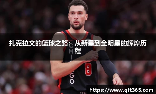 bsports官网入口