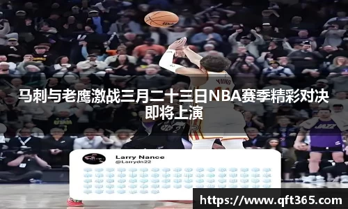 bsports登录入口