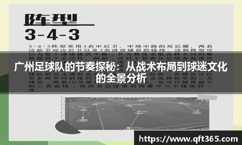 bsports官网入口