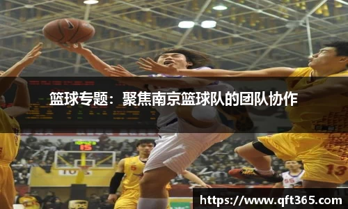 篮球专题：聚焦南京篮球队的团队协作